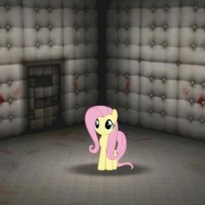 Meet your Posher, Amara